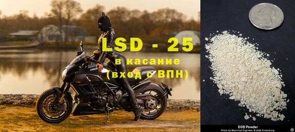прущие грибы Приозерск