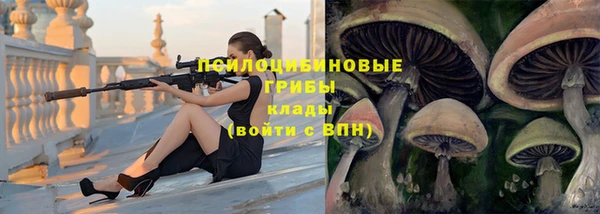 jwh Алзамай