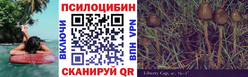 hydra   цена наркотик  Биробиджан  Галлюциногенные грибы прущие грибы 